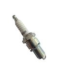 Spark plug EA81