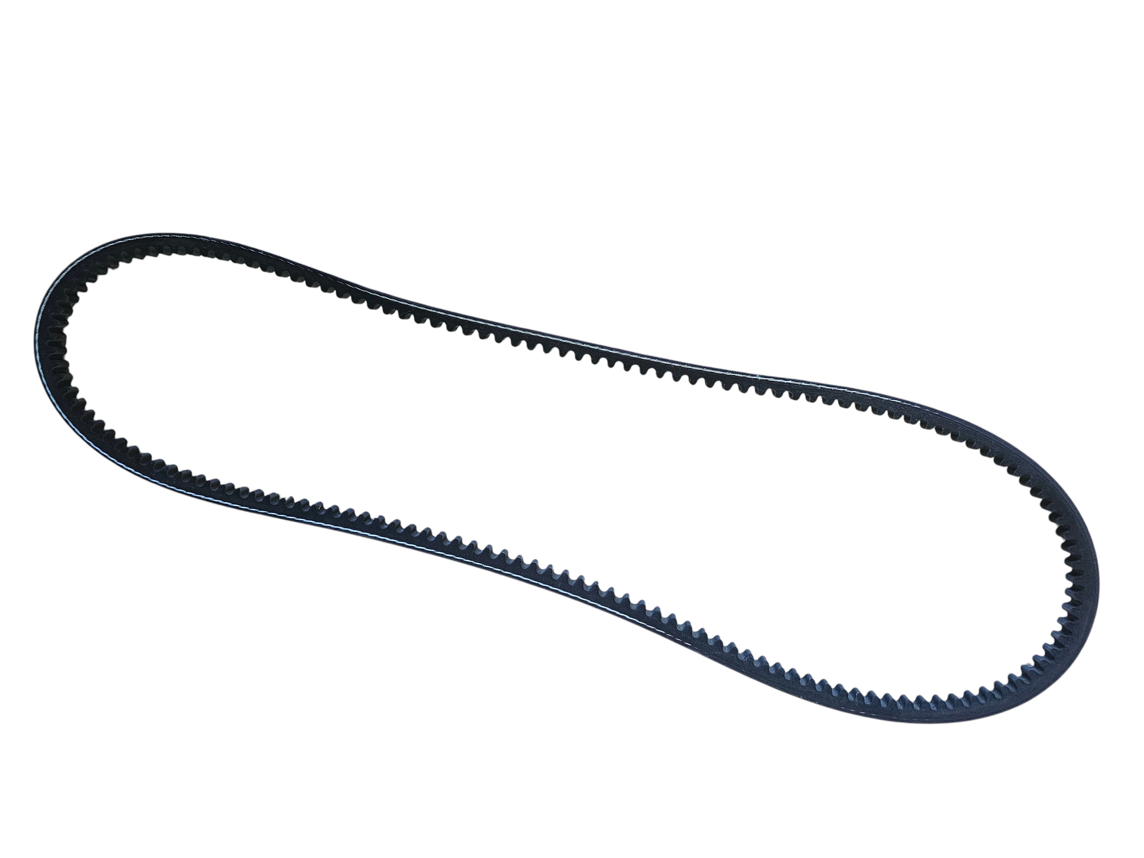 Belts EA81