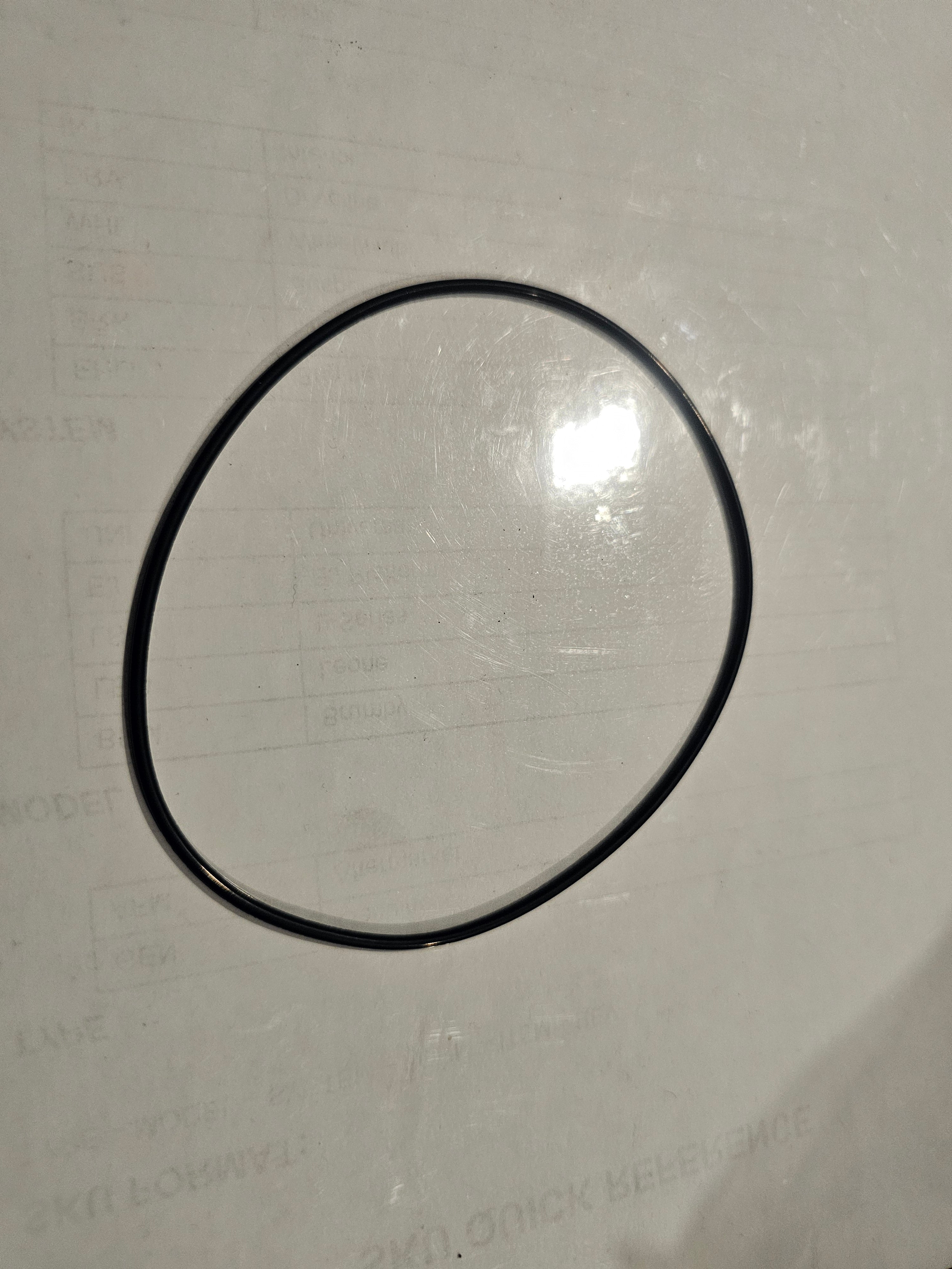 Side carrier oring rear diff Genuine - EA81, EA82 (R160)